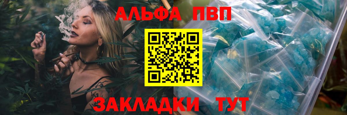 Alfa_PVP СК КРИС Искитим