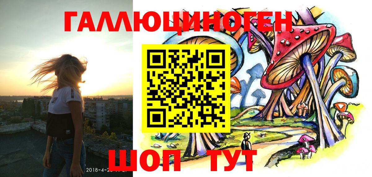 Псилоцибиновые грибы Искитим
