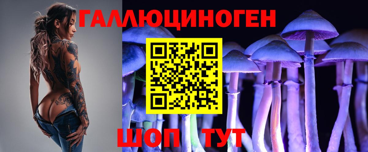Псилоцибиновые грибы Psilocybine cubensis  Вход с VPN  Искитим 